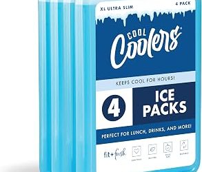Best Cooler Cold Packs for Camping, Lunches and Road Trips