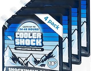 Best Cooler Gel Packs Tested for Camping and Lunch Bags