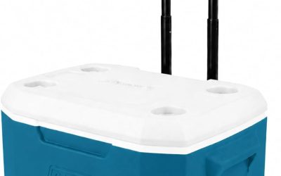 Best Cooler: Top Picks Reviewed (2026)