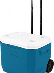 Best Roller Cooler: 6 Easy Roll-Along Picks Tested 2026