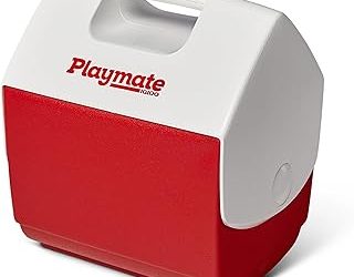 Best Small Cooler: 5 Compact Ice Chests Ranked by Weight