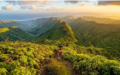 Best Hiking Trails in Oahu Hawaii: 6 by Difficulty 2026