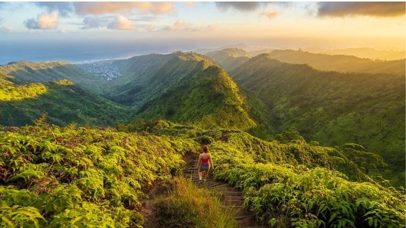 Easy Family-Friendly Trails