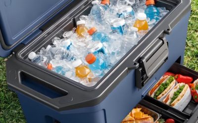 Best Small Ice Chest Cooler: 5 Picks Ranked by Ice Hours