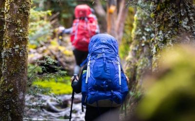 Best Backpack for Hike Days: 5 Daypacks for the Trail 2026