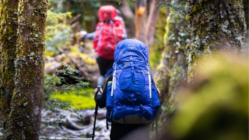 How to Choose a Hiking Daypack