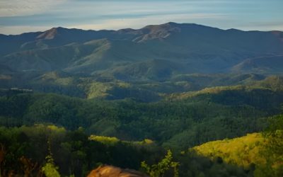 Best Hiking in the Smokies: Day-Hike Gear Essentials 2026