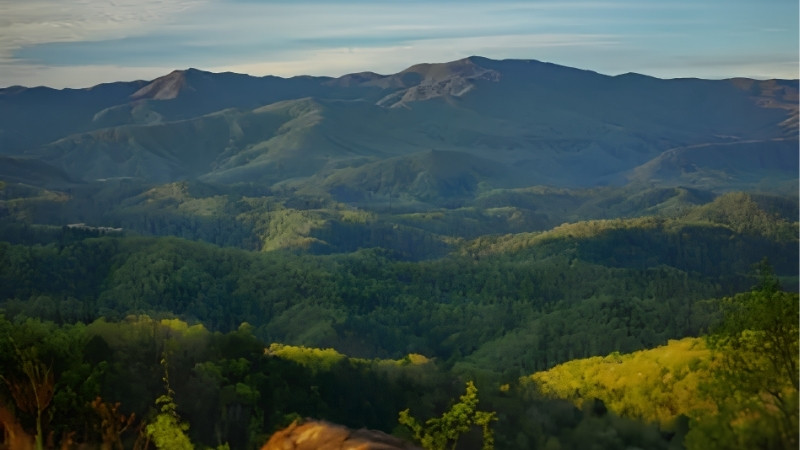 How to Choose Gear for the Best Hiking in the Smokies