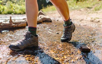 Best Hiking Boots Female: Top Women’s Picks Reviewed 2026