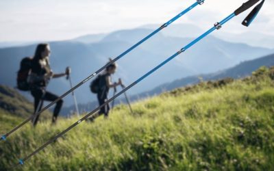 Best Hiking Pole: 5 Top Picks by Material and Lock Type