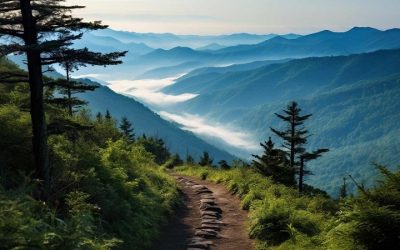 Best Hiking Trails in the Great Smoky Mountains: 2026 Guide