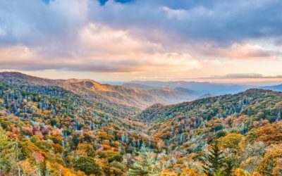 Best Hiking Trails in the Smoky Mountains: Top 2026 Guide