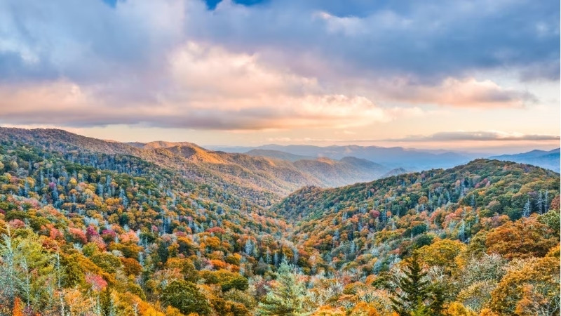 How to Choose the Best Hiking Trails in the Smoky Mountains