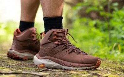 Best Hiking Trekking Shoes: 6 Top Picks for Long Trails