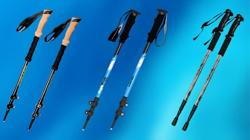 How to Choose the Best Poles for Hiking