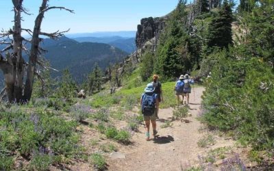 Best Backpack for Trips: 6 Top Picks for Every Trip Type