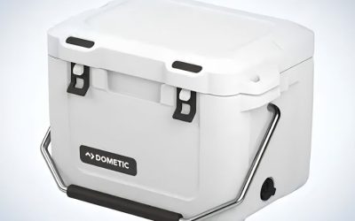 Best Small Cooler: 5 Compact Ice Chests Ranked by Weight