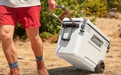 Best Cooler Box for Camping: 6 Rugged Hard-Sided Boxes 2026