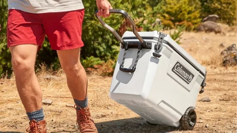 How to Choose the Right Camping Cooler Box