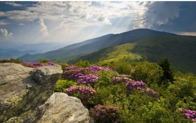Best Hiking Areas in US: 6 Iconic Regions to Explore 2026