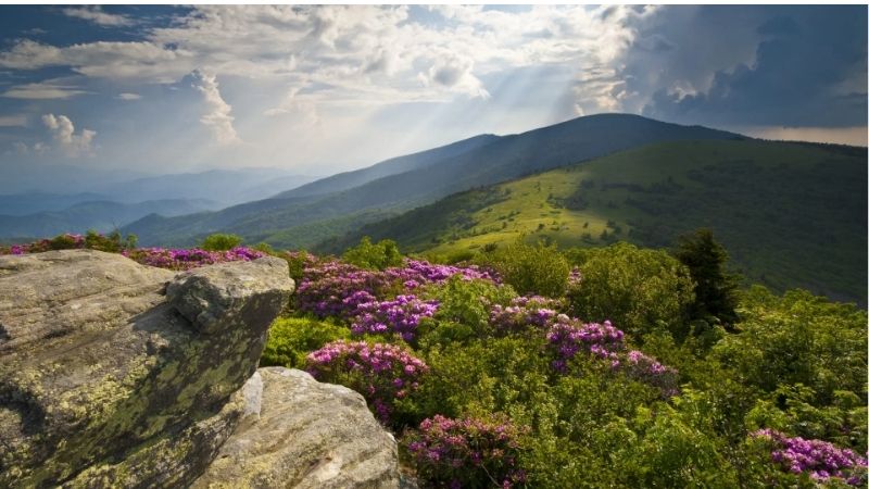 Iconic National Park Regions
