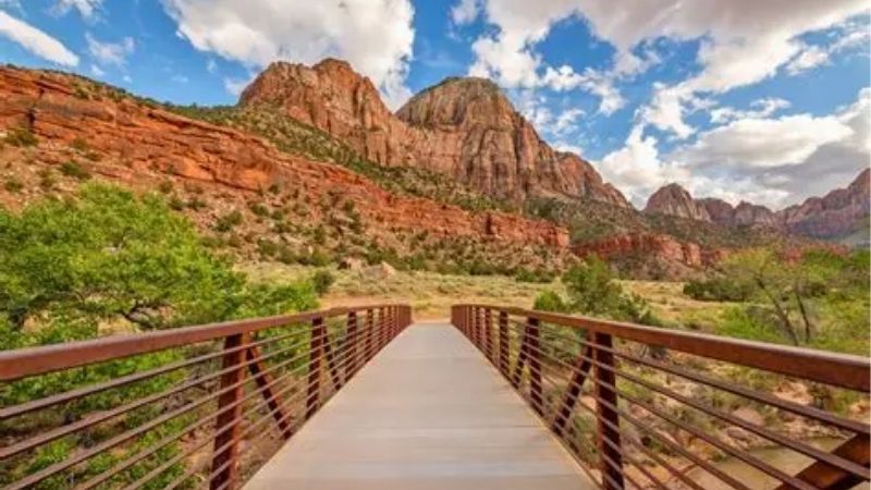 The Best Hiking Zion Offers, Trail by Trail
