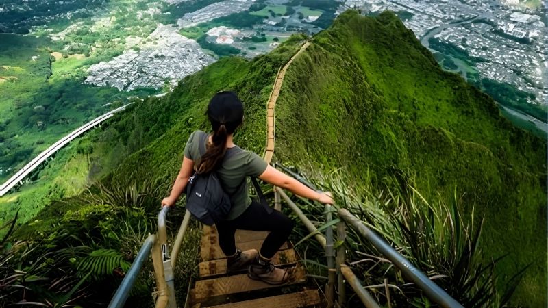 Waterfall and Rainforest Hikes