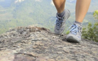 Best Rated Hiking Shoes for Women: 2026 Top Picks Guide
