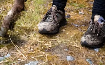 Hiking Boot Maintenance: 6 Best Care Products for Longevity