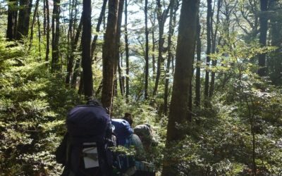 Outdoor Skills for Beginners: The Gear and Skills to Learn