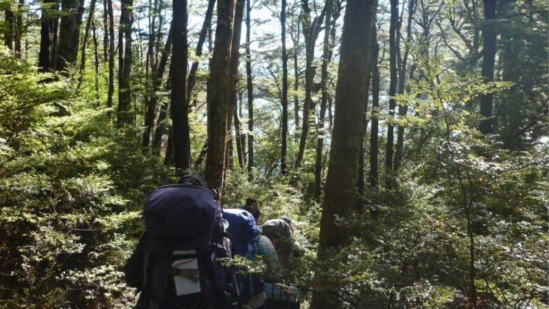 How to Build Outdoor Skills for Beginners