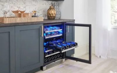 Wine Cooler at Best Buy: 6 Top Fridges Compared for 2026