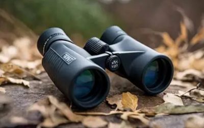 Pocket Binoculars Best Picks: 6 Compact Pairs for Travel