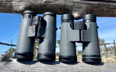 Best 10×42 Binoculars: 5 Sharp, Versatile Picks Compared