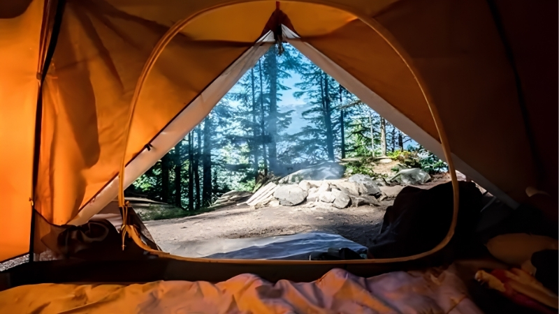 How to Choose the Best 4 Person Tent