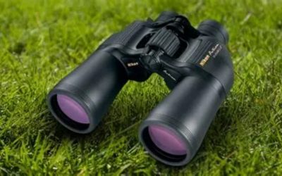Best Binoculars Deer Hunting: 5 Glassing Picks for Woods