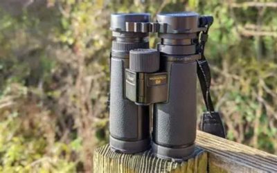 Best Binoculars for Travelling: 6 Top Compact Picks 2026