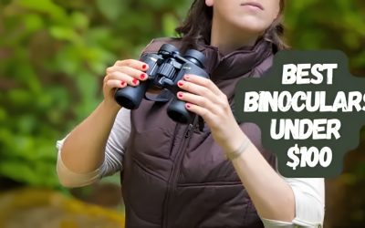 Best Binoculars for Under 100 Dollars for Outdoor Adventures