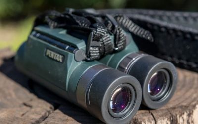 Best Binoculars Small Enough to Pocket: 6 Tested for 2026