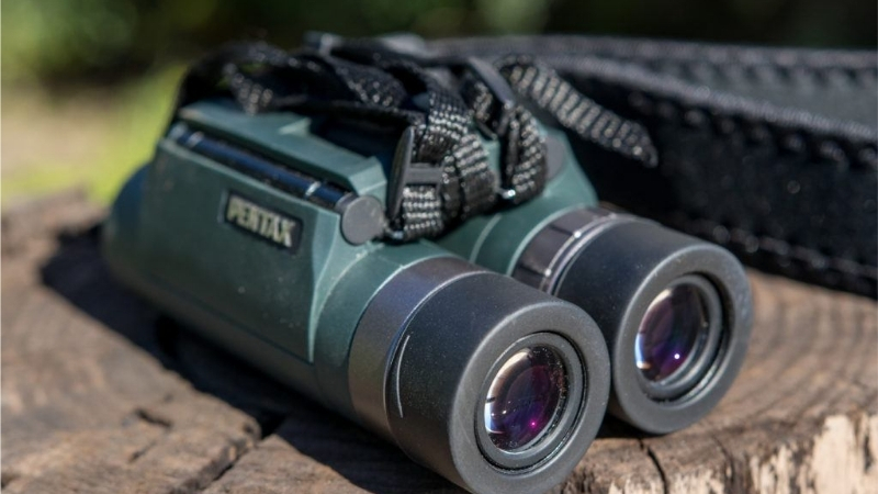 How to Choose the Best Binoculars Small Enough to Carry