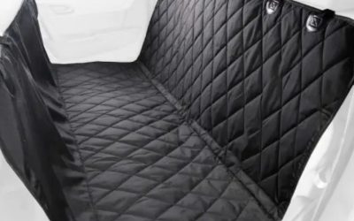 Best Car Hammock for Dogs: 5 Picks by Dog Size & Safety