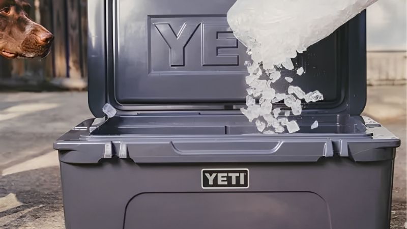 How to Choose the Best Hard Cooler