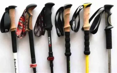 Best Hunting Trekking Poles for Rugged Backcountry Terrain