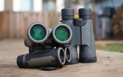 Best Inexpensive Binoculars for Hunting: 5 Value Picks 2026
