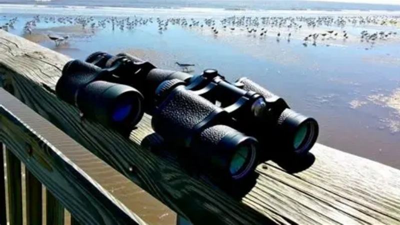 How to Choose the Best Ranging Binoculars