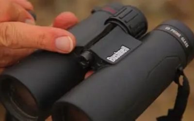 Best Rated Binoculars for Hunting: 6 Field-Tested Picks