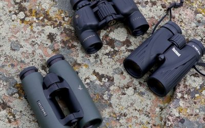 Best Safari Binoculars: 6 Wildlife Picks Tested for 2026