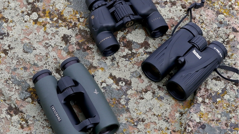 How to Choose the Best Safari Binoculars