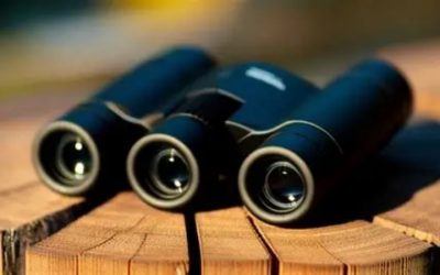 Best Travel Binoculars: 6 Compact Picks Tested for 2026