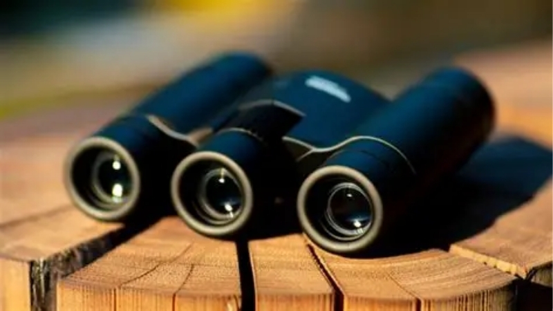 How to Choose the Best Travel Binoculars